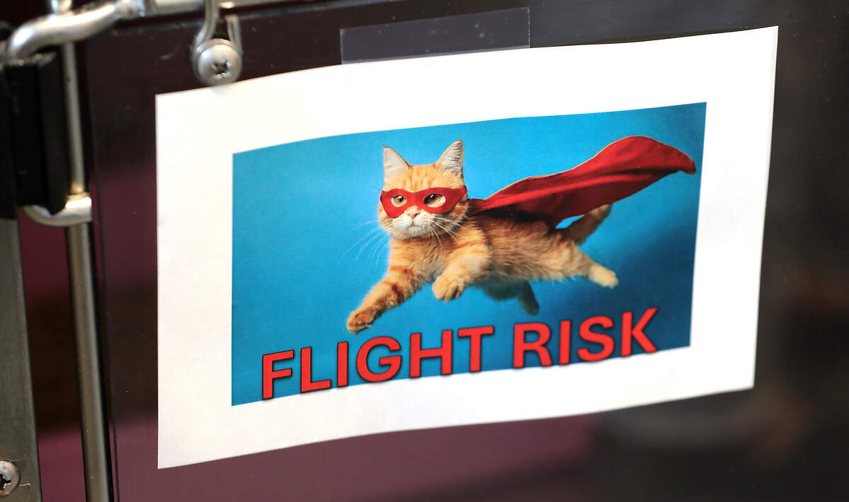 A sign on the cage of a cat at Tri-Cities Animal Services of the facility in Pasco warns workers and volunteers of the flight risk of the animal present.