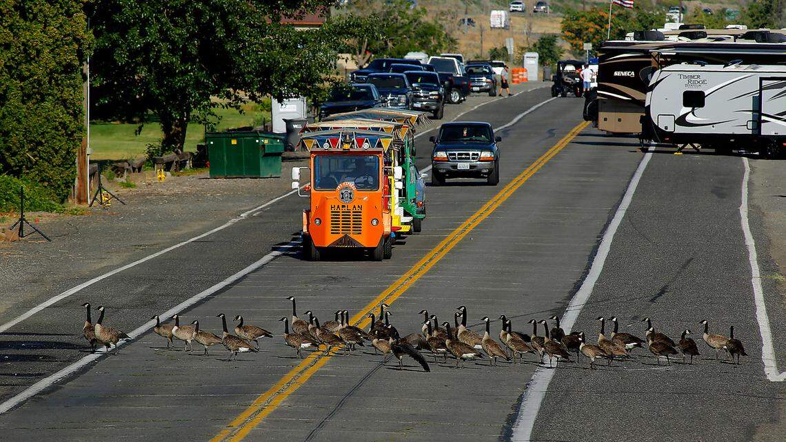 Ready for Water Follies again? Shuttles, tickets and closed roads