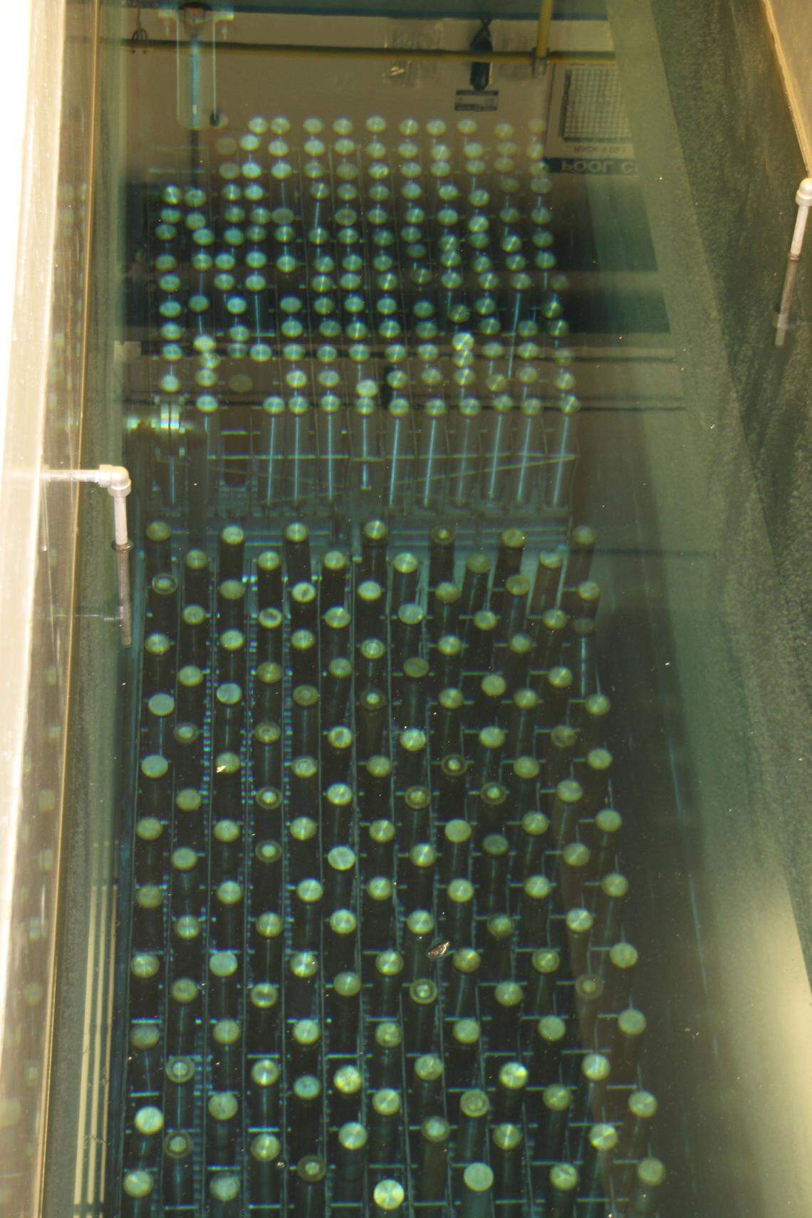 Highly radioactive capsules stored underwater at the Waste Encapsulation Storage Facility contain radioactive cesium and strontium that are byproducts of plutonium production. The water shields workers from radiation and keeps the capsules cool.
