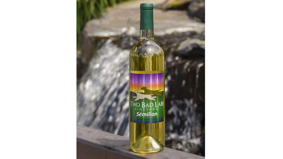 The Two Bad Labs Vineyard 2019 Sèmillon earned a gold medal at the 2020 Cascadia International Wine Competition in Lewiston, Idaho.