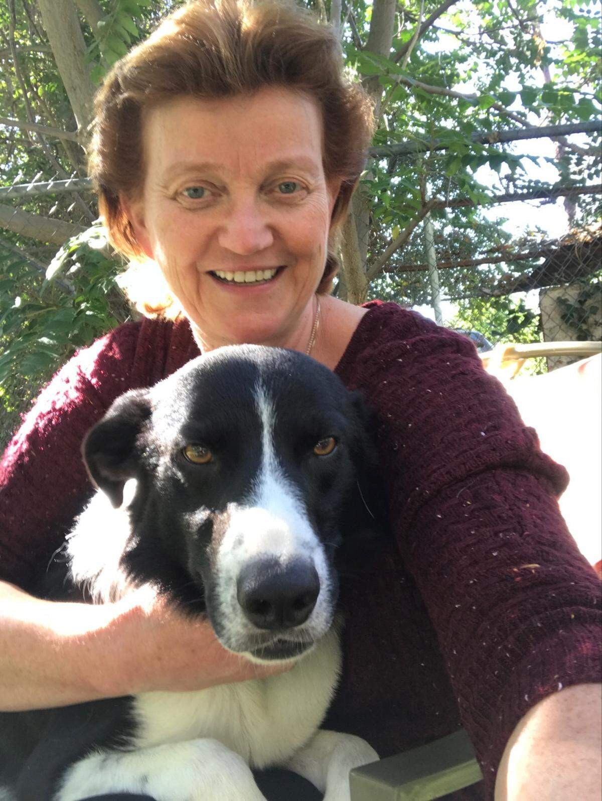 Aggi Mowry and her dog Jett take regular walks up Badger Mountain. During her latest trip, Jett got bit by a rattlesnake.
