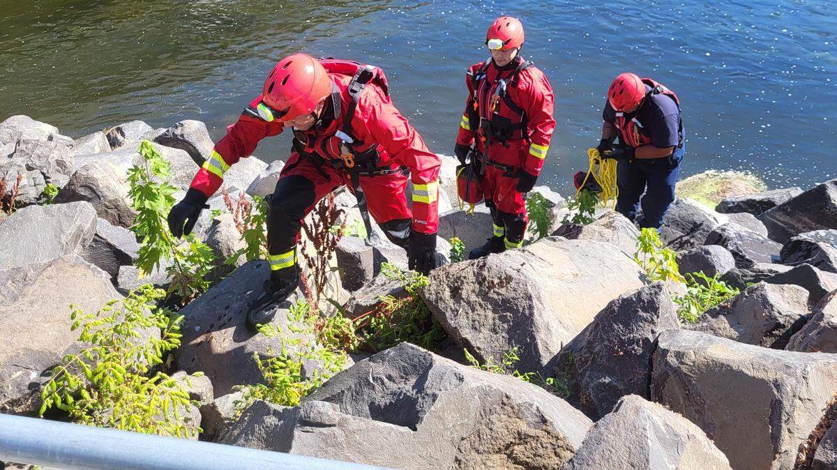 Benton County Fire District 4 firefighters climb out of the Yakima River after practicing a water rescue Thursday afternoon.