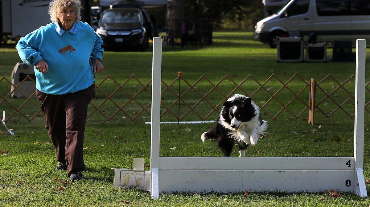 The four-day Tri-City Cluster Dog Shows at Kennewick’s Columbia Park features about 1,000 entries for each day. There is also a timed 100-yard dash for dogs. Admission and parking is free. Show hours are 8 a.m. to 6 p.m. and the Fast Cat fun run trials are 1-3:30 p.m.