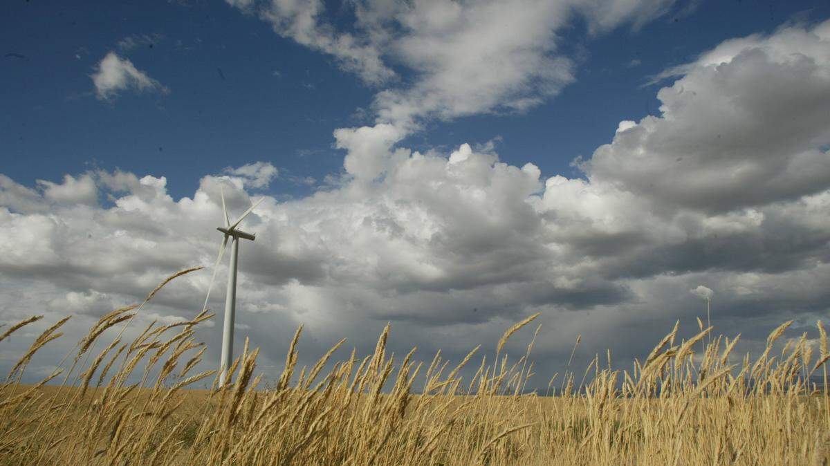 Energy Northwest’s energy portfolio includes Nine Canyon Wind Farm south of Kennewick.