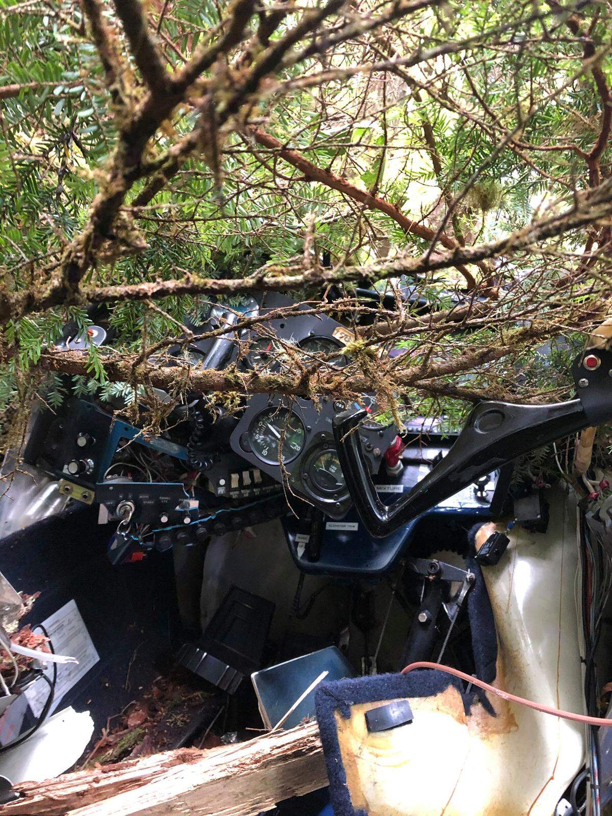 Richard Jordal, 59, of Richland is accused of stealing and crashing a Cessna 150 in Jefferson County, Wash.