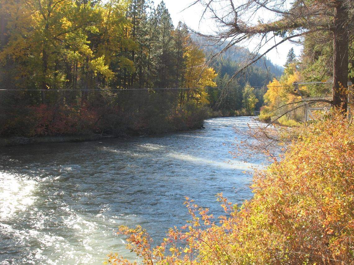The Tieton River flows alongside the White Pass Scenic Byway as trees turn colors in the fall.