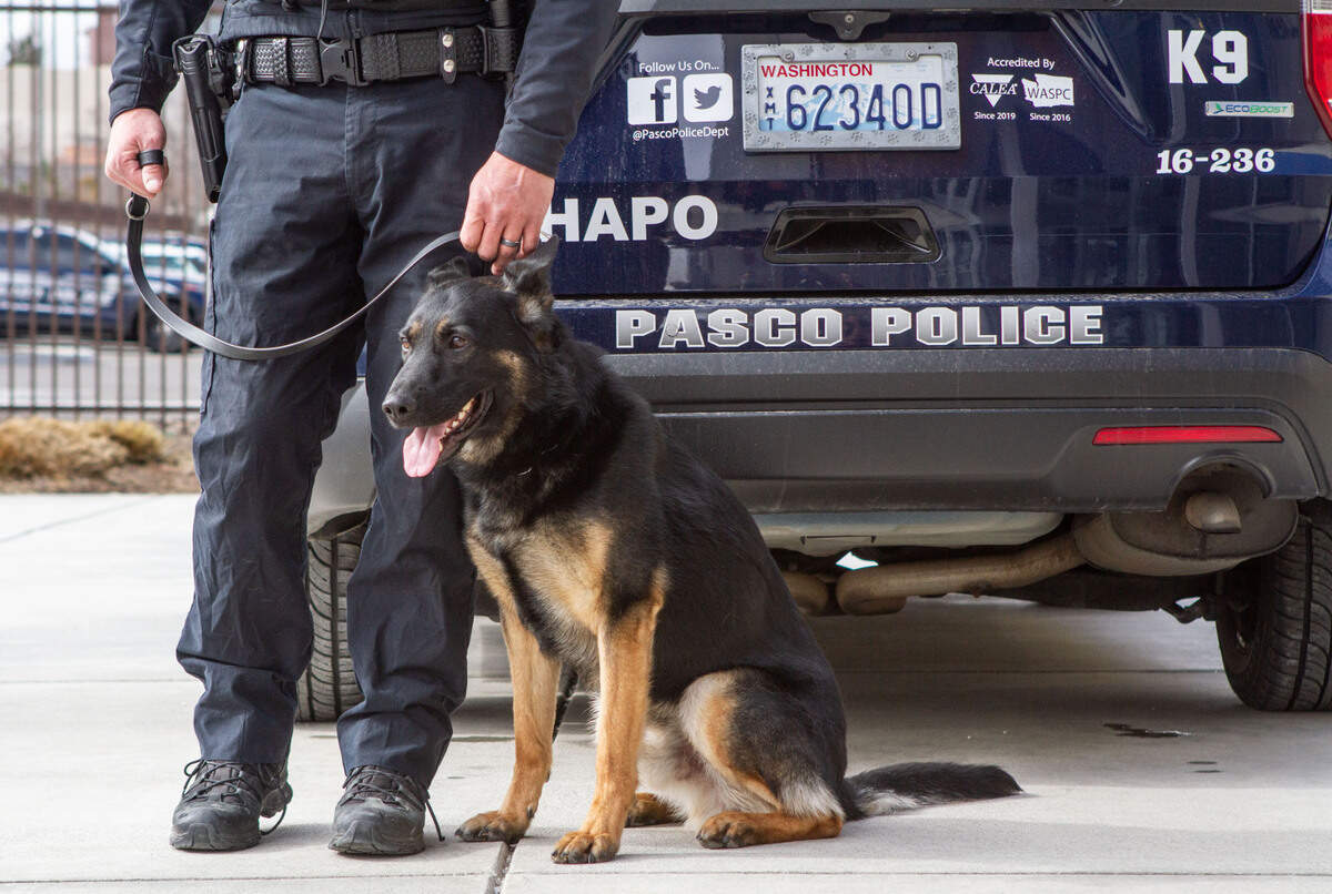 The Pasco Police Department has a new police dog, K9 Hapo II, a 2-year-old German Shepard, who started patrolling the city with his handler Jason Griffin thanks to a donation from HAPO Community Credit Union.