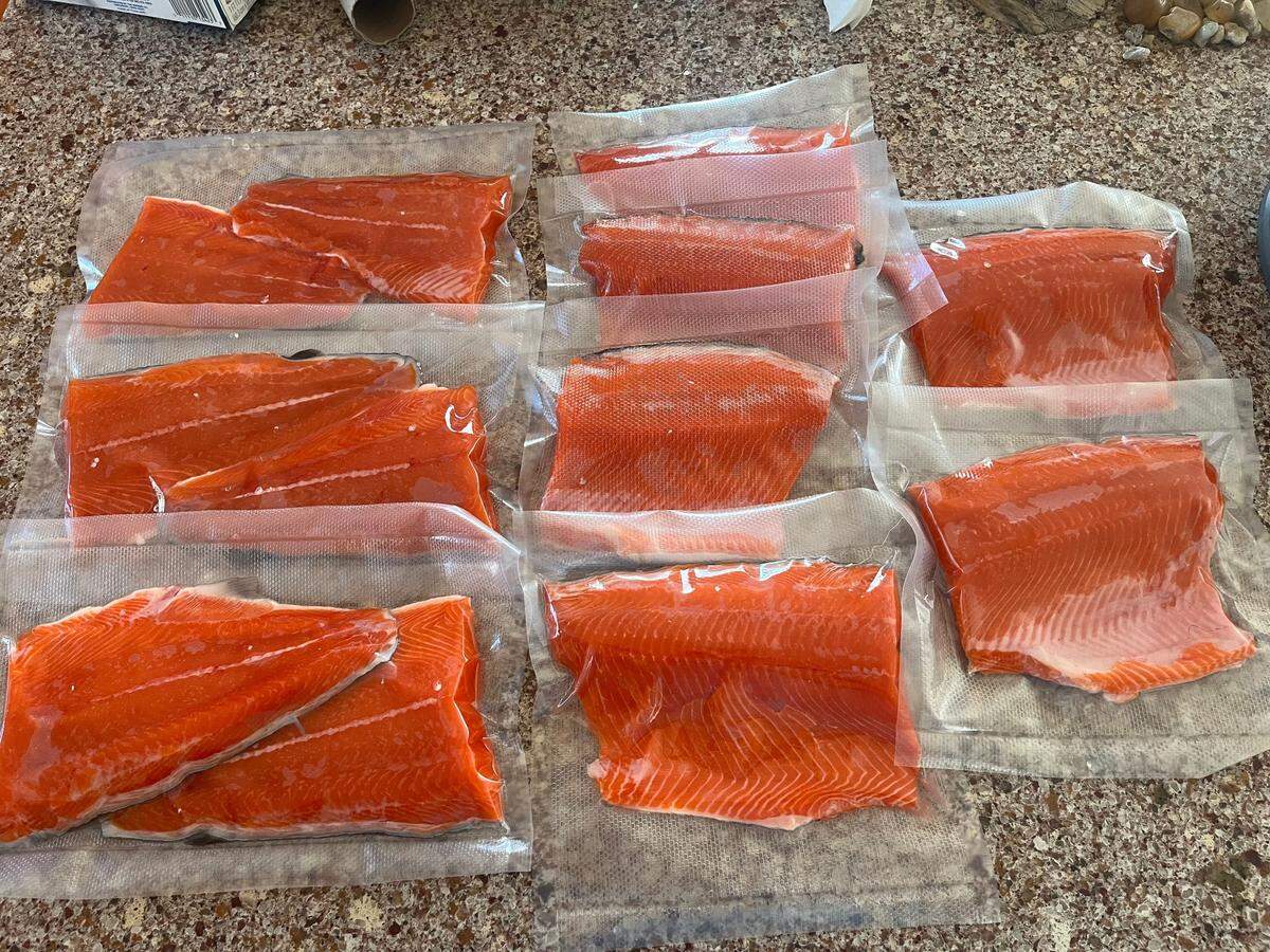 Vacuum-packing sockeye salmon filets keeps them fresh for later consumption.
