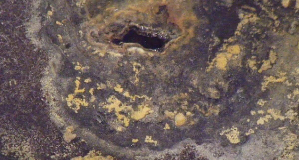Pitting is shown in the bottom of the inner shell of Hanford Tank AY-102, which was emptied of radioactive waste after the waste was discovered to be leaking into the space between its shells.