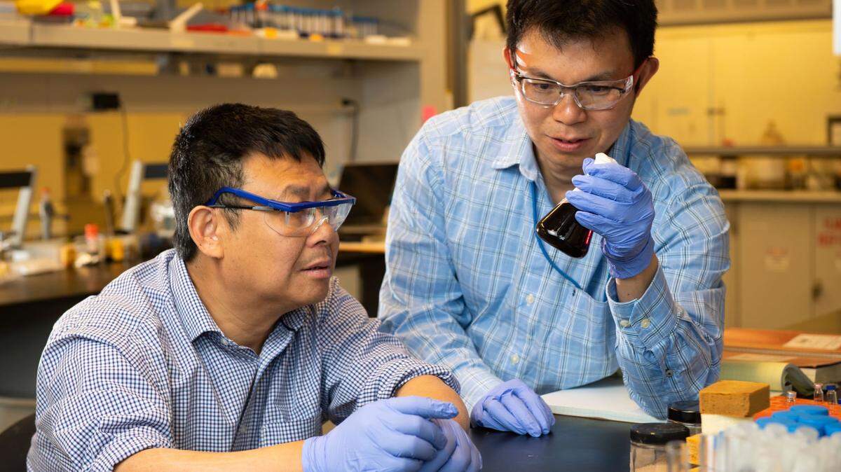 PNNL materials scientist Chun-long Chen, right, and Xiao Zhang of Washington State University, who holds a joint appointment with PNNL, are working together to advance a technology for breaking down lignin so that it can be used to efficiently produce valuable fuels and chemicals.