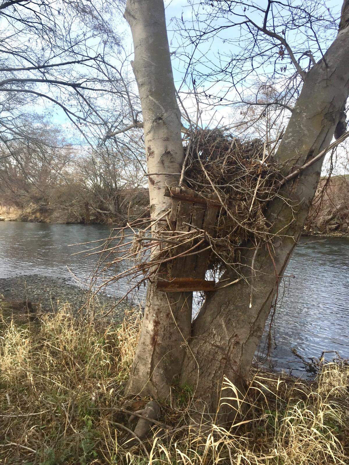 Evidence of the February 2020 flood remains in the form of a straightened river channel and debris loads found scattered along the shoreline.
