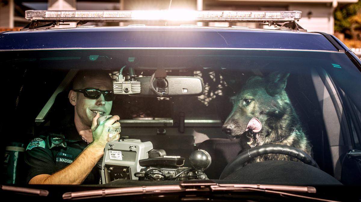 This 2016 photo K9 Lemon and his driver, Officer Josh Madsen, was used in the 2017 fundraising calendar Cops and Pups. Lemon is retiring.