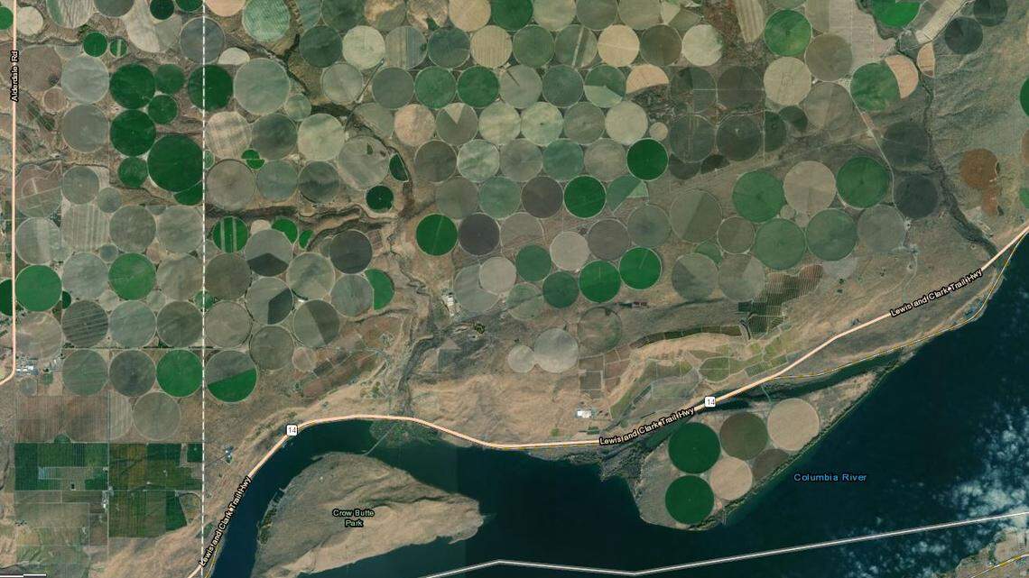 A Louisiana investor paid $171 million for a large swath of farmland in the Horse Heaven Hill, making it one of the largest real estate transactions in recent memory.