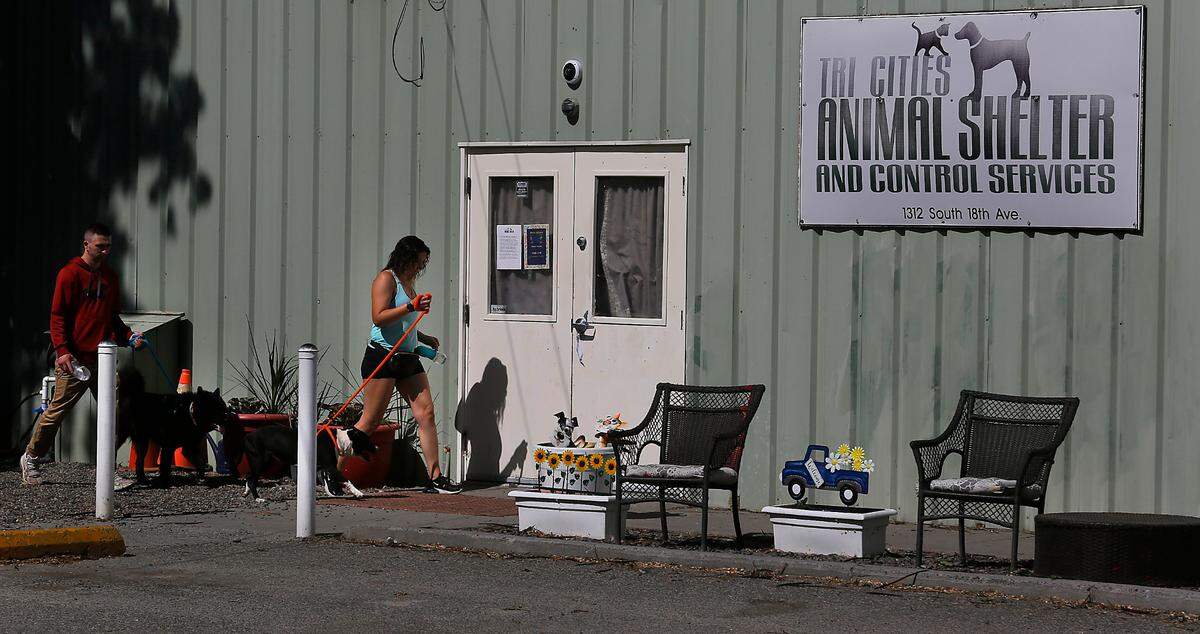 A pair of volunteer dog walkers make their way back to the Tri-Cities Animal Shelter and Control Services building off South 18th Avenue in Pasco.