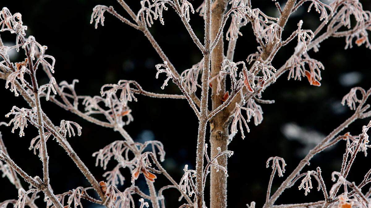 The first fall frost occurs in Centre County, on average, in early October.
