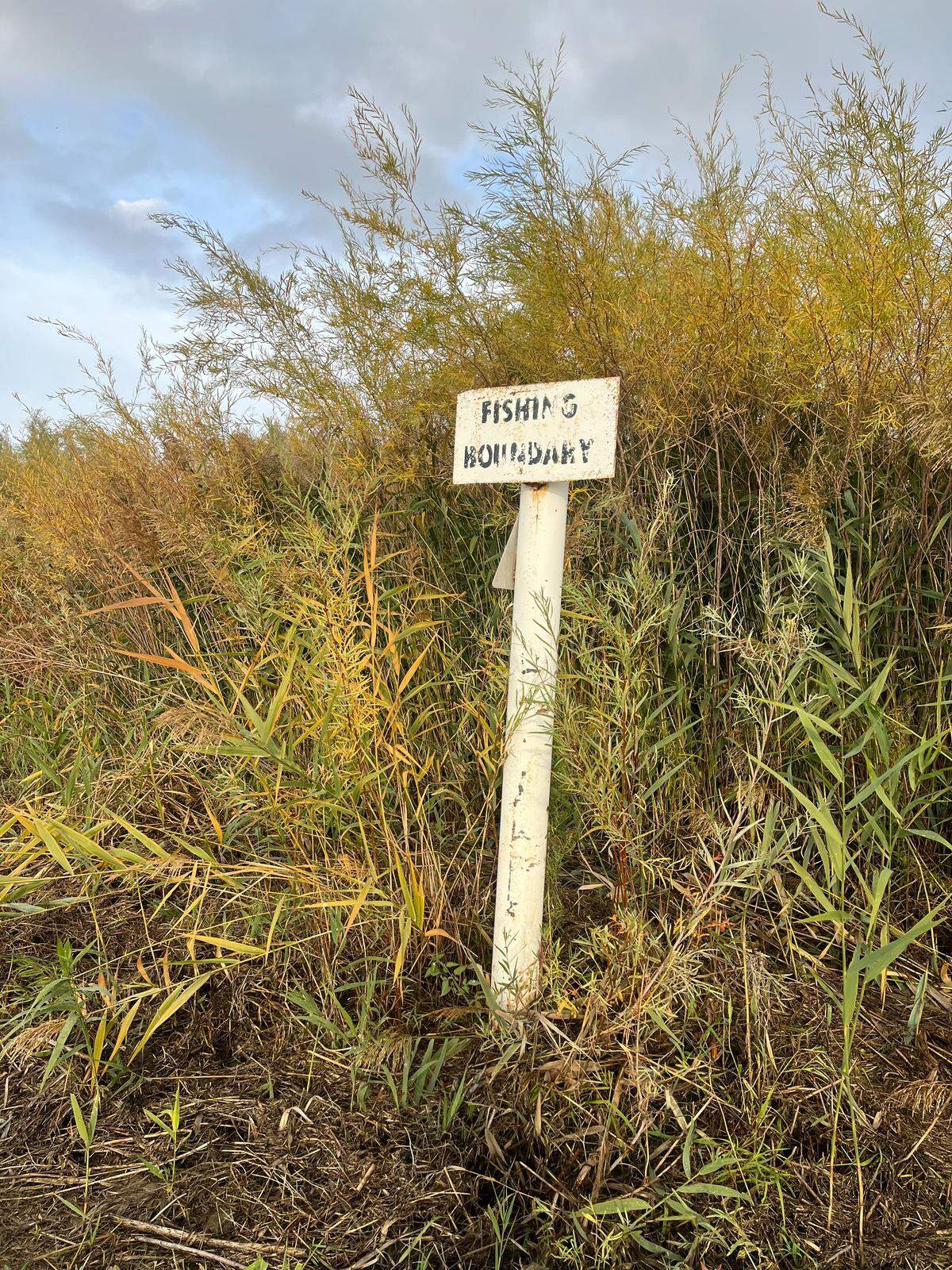 Signs on opposite sides of Ringold Creek mark a 200-foot long “no fishing” zone.