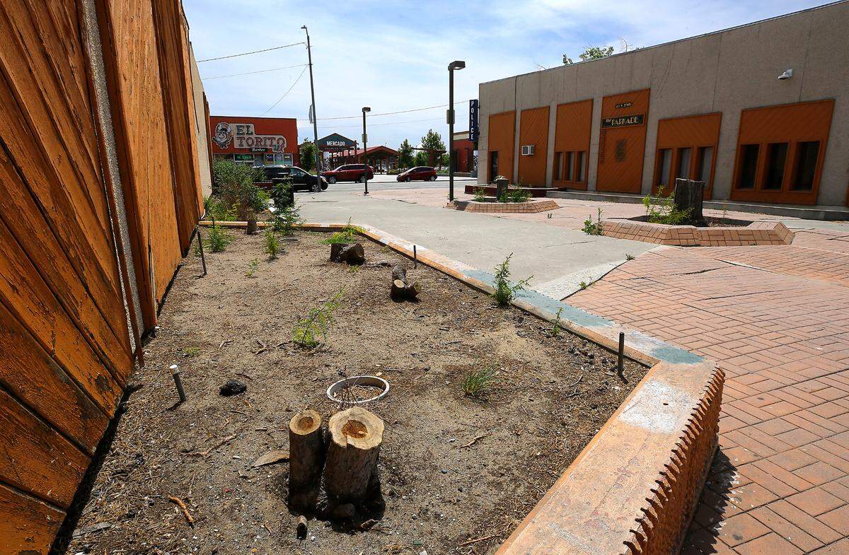 The city of Pasco is moving ahead with a plan to improve Peanuts Park North.