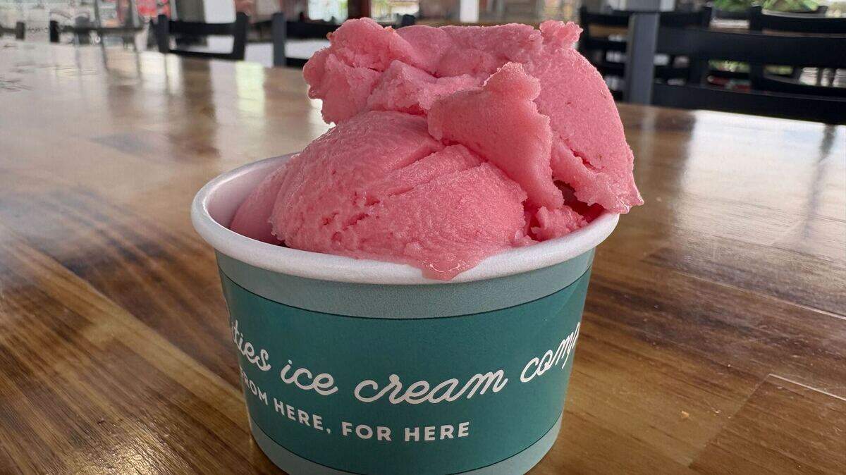 One scoop of strawberry sorbet in a cup from Angel Brook Farms Ice Cream at the Summer’s Hub of Kennewick.