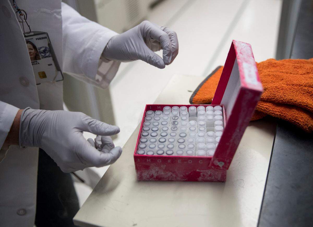 Flu vaccines are recommended for everyone 6 months and older. Young children, pregnant women, the elderly and people with weakened immune systems are especially at risk for becoming seriously ill if they catch the flu.