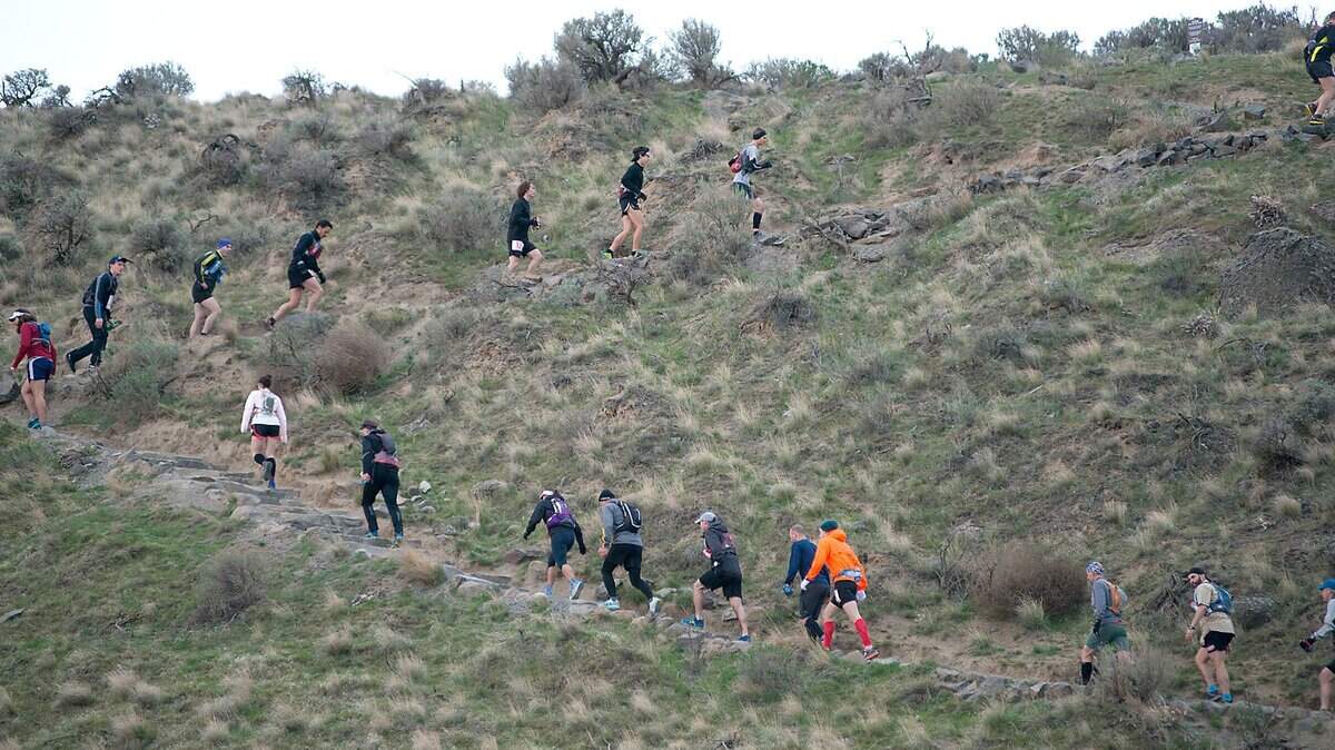 The Inter-mountain Alpine Club’s annual trek up Badger Mountain in south Richland begins at 10:30 a.m. Tuesday.