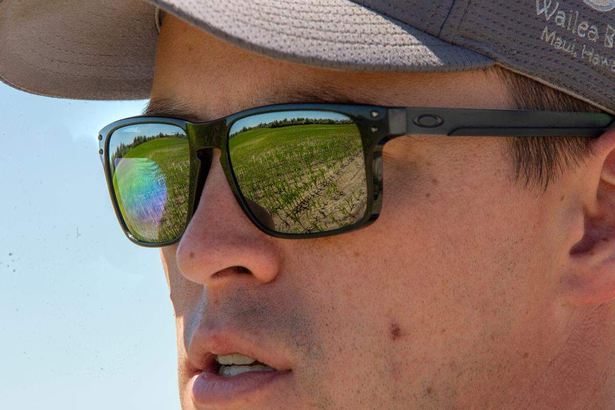 James Alford looks out at his crops of corn that can be seen reflecting from his sunglasses. He’s growing non-GMO seed corn for a breeder in the Mid-West.