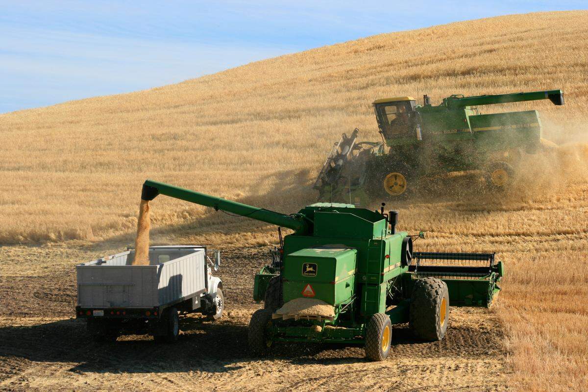 The 6,389 wheat growers in the state split $20.5 million in federal aid payments. Their payouts ranged from $4 to $174,450.
