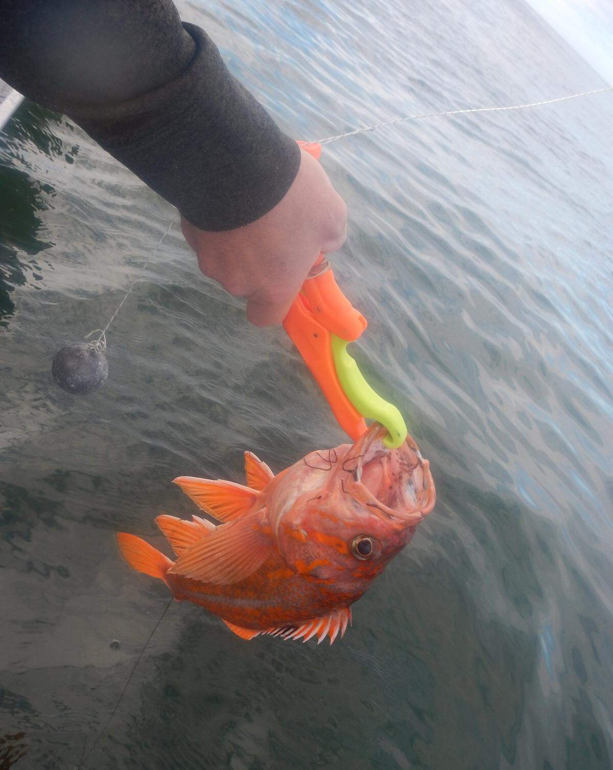Dennis Dauble shares his story about boat fishing off Yaquina Bay in Oregon on the Pacific Ocean.