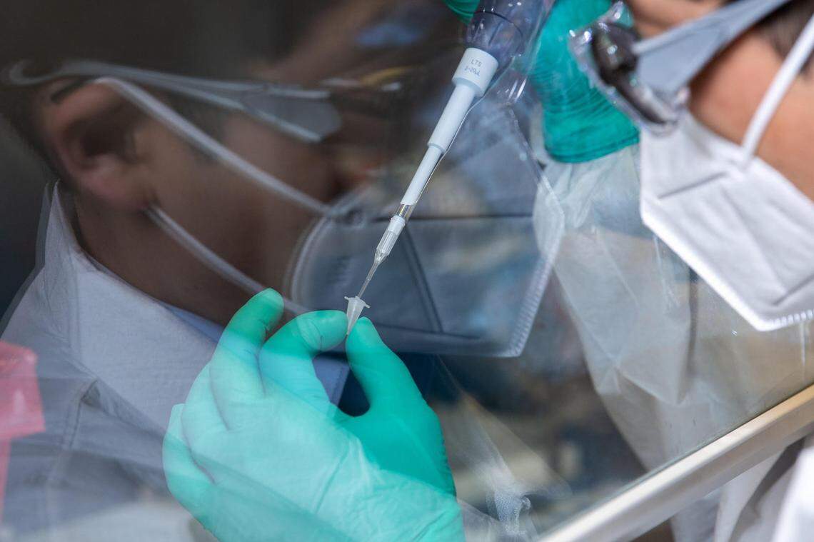 A researcher at PNNL prepares samples to go into a mass spectrometer for proteomic analysis, which provides rich data about the proteins found in the sample and makes it possible to look for patterns.