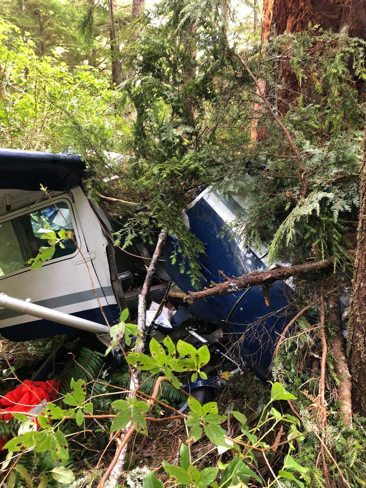 Richard Jordal, 59, of Richland is accused of stealing and crashing a Cessna 150 in Jefferson County, Wash.