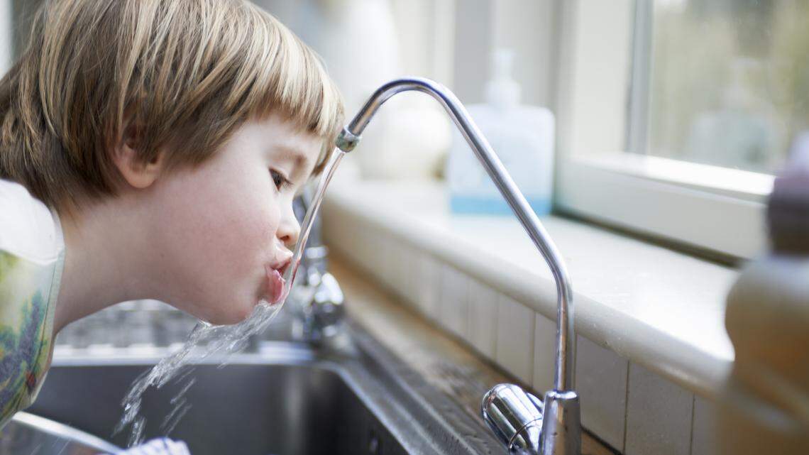 Fluoride removed from Pasco tap water. Schools, dentists step up to help kids