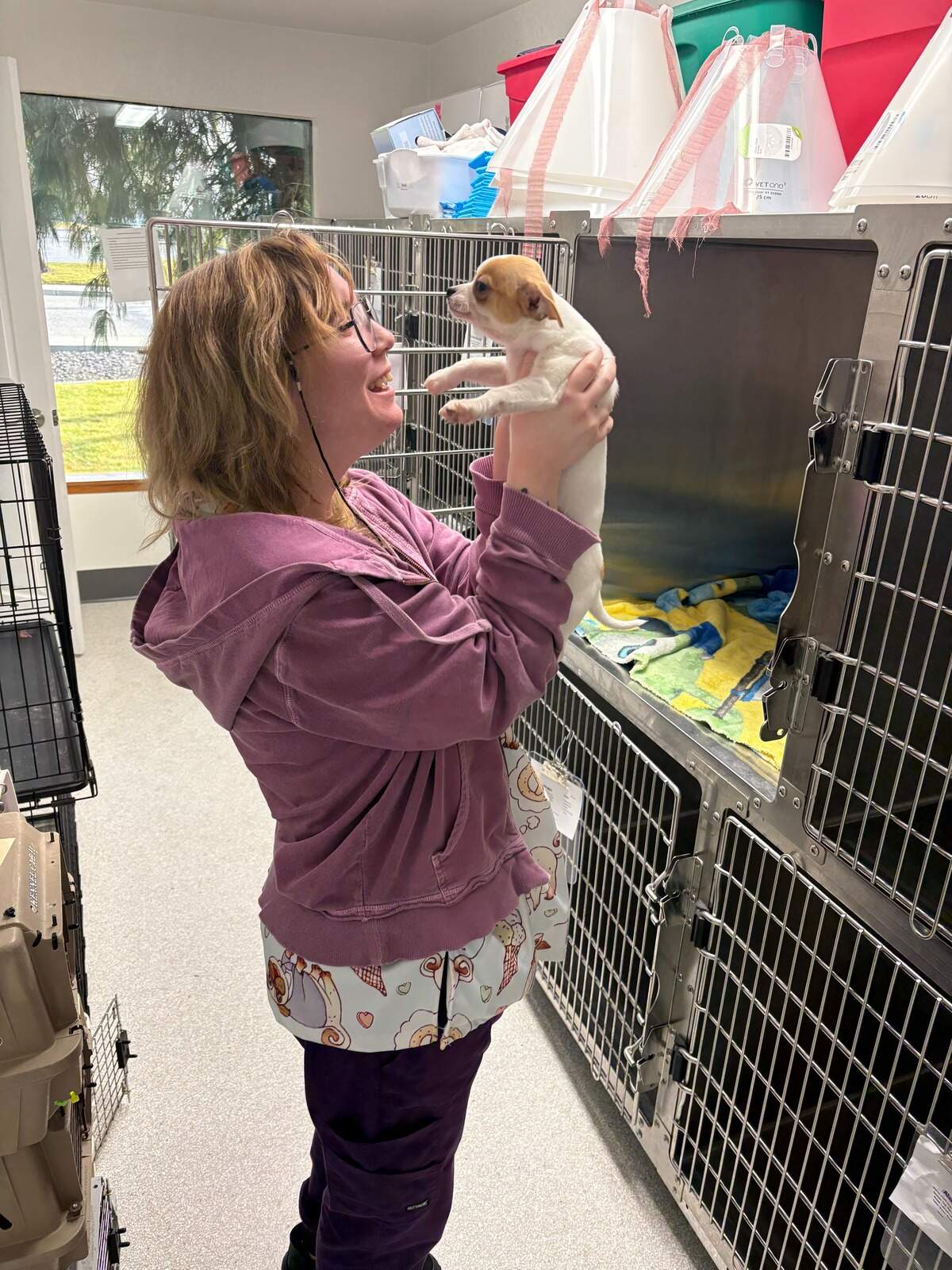 A Pet Overpopulation Prevention volunteer, Maisy, picks up a pet at their Pasco clinic.