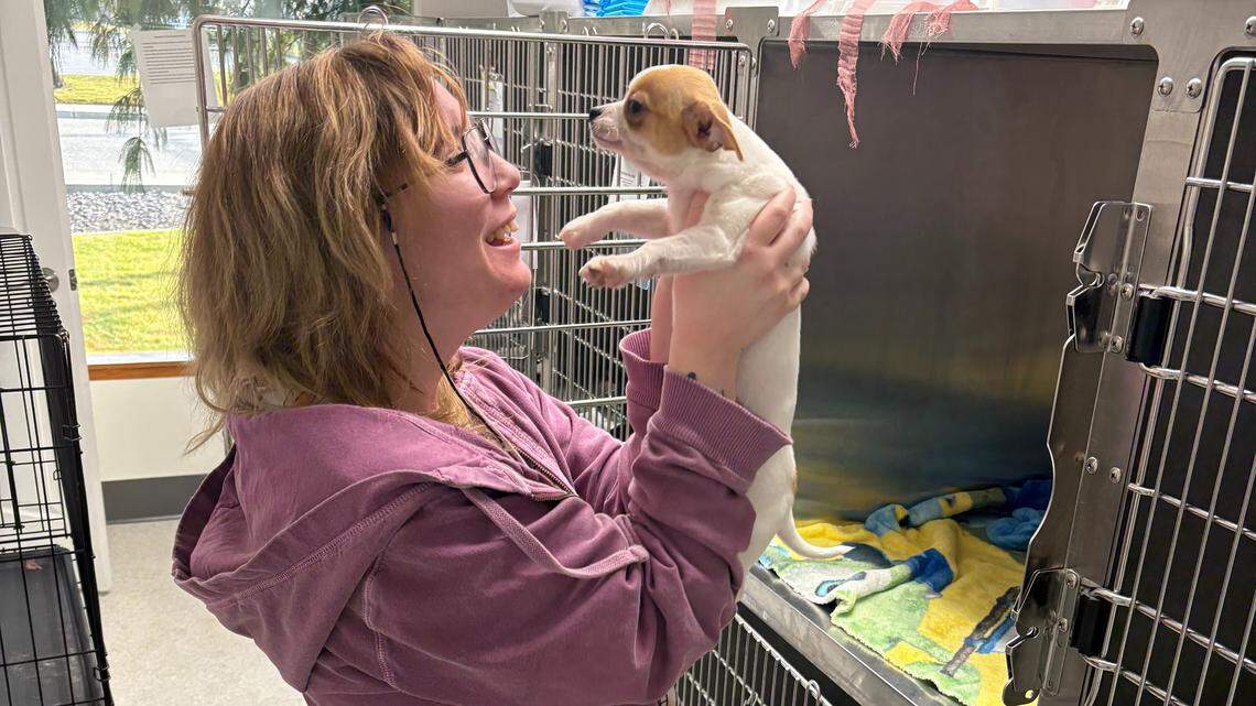 ‘Fixing’ thousands of Tri-Cities pets eased burden on animal shelter, rescues