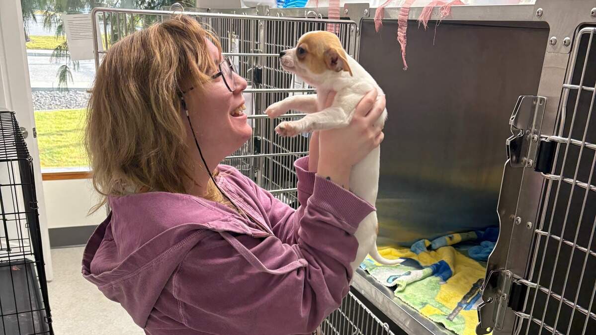 A Pet Overpopulation Prevention volunteer, Maisy, picks up a pet at their Pasco clinic.