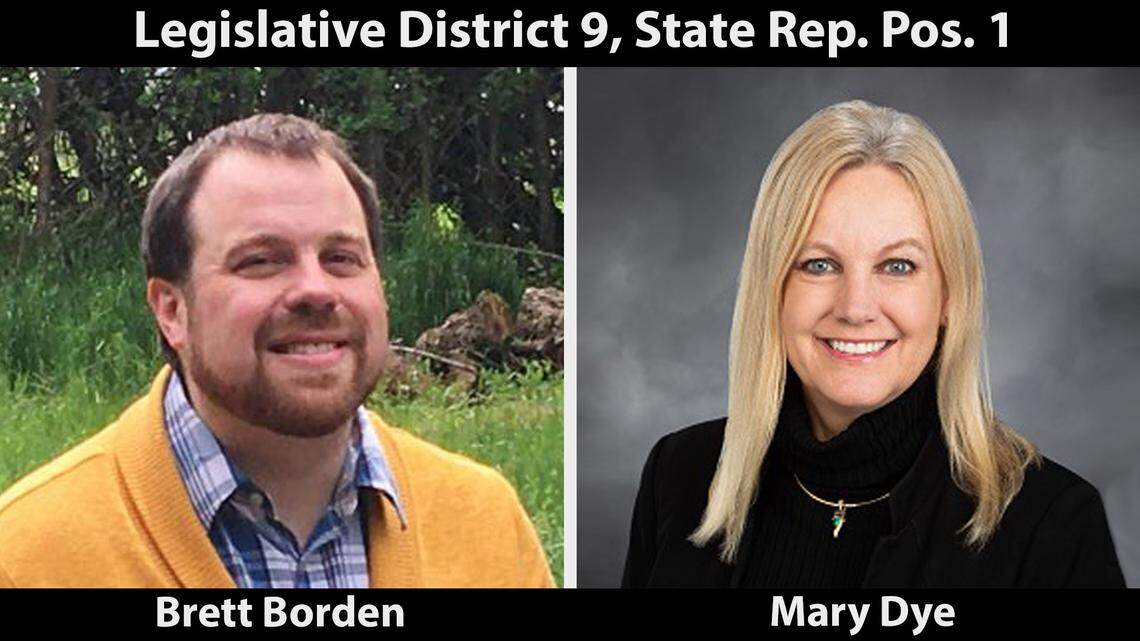 State Reps. Dye and Boehnke face third-party candidates. Here are our picks | Editorial