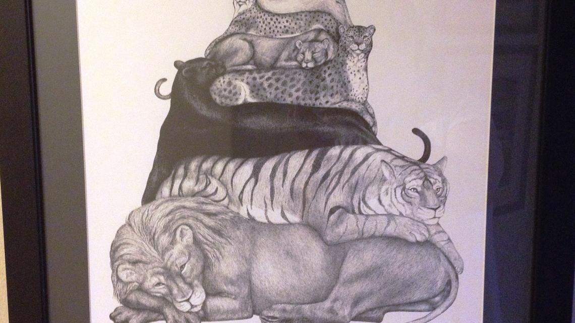 Tales connect two 'saintly' cats