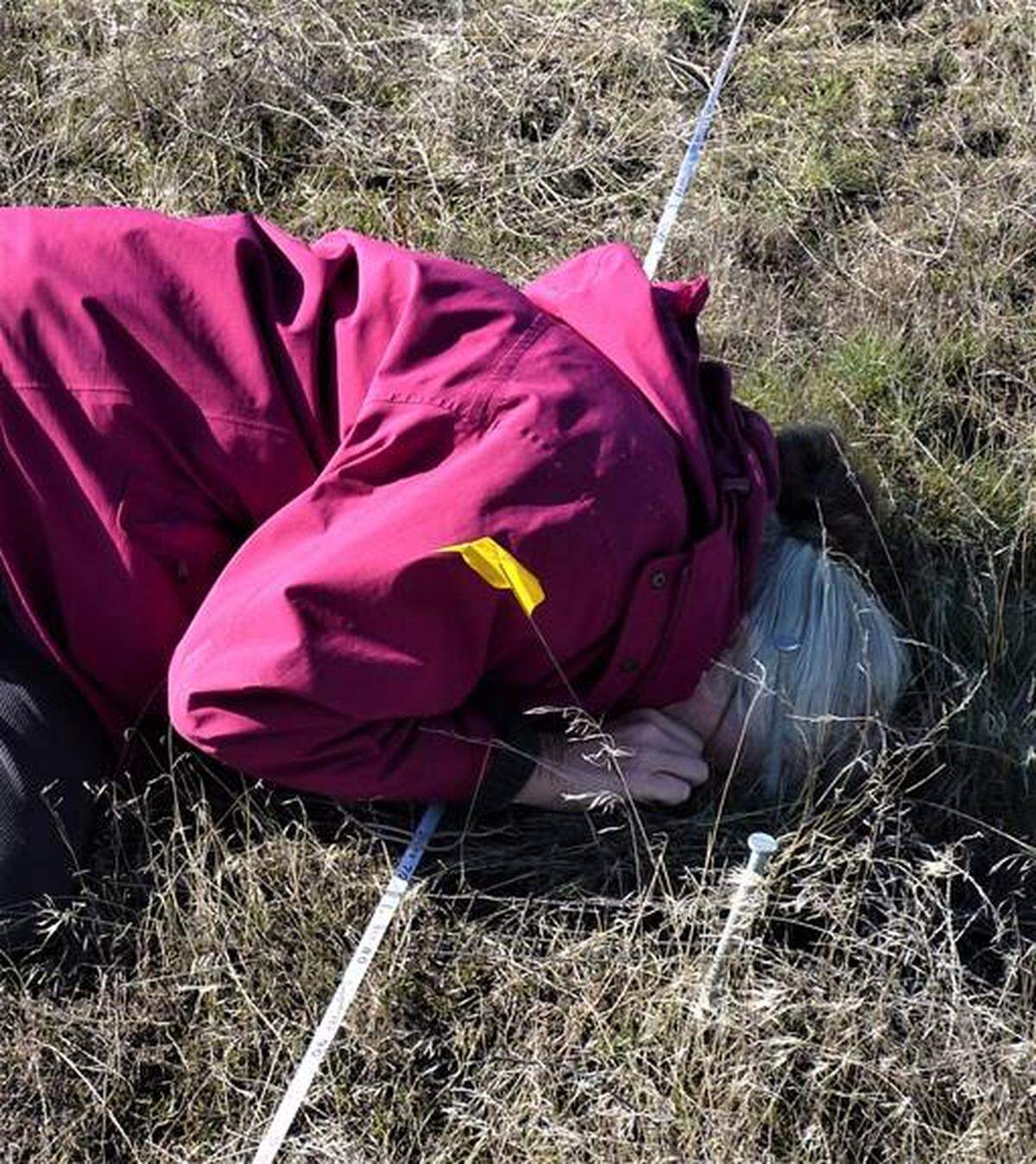 Lichen study requires scientists to use hand-held magnifying lenses to identify the structures of plants very close to the ground.