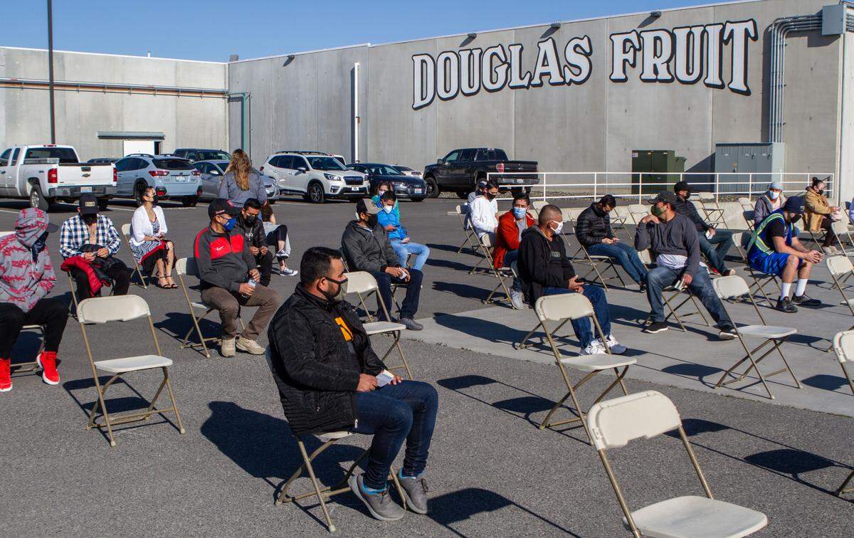About 375 Douglas Fruit workers were vaccinated on Friday during a pop-up clinic outside of the company’s Pasco warehouse. The agricultural producer partnered with the Washington State Tree Fruit Association and Safeway/Albertsons to administer Johnson & Johnson’s Janssen single-dose vaccine to employees.