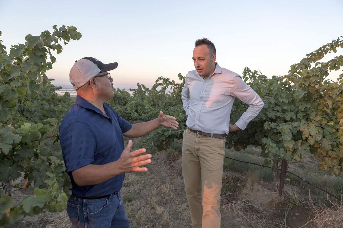 Juan Muñoz-Oca, executive vice president of winemaking, vineyards and operations for Ste. Michelle Wine Estates, talks with vineyard manager Juan Uribe at Columbia Crest in Paterson, Wash.
