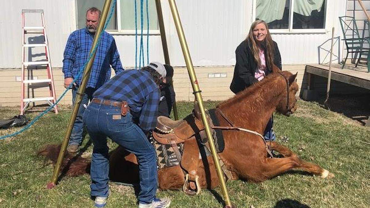A horse had to be rescued Monday after falling through the lid of a septic tank on property in Burbank.