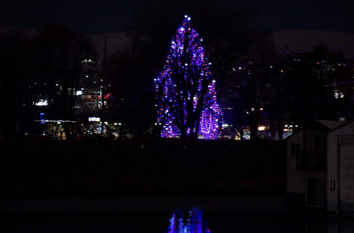 The port has strung red, white, and blue lights on the nearly 87-foot pine near Clover Island. The Veterans’ Christmas Tree is one of the tallest living Christmas trees in the region.