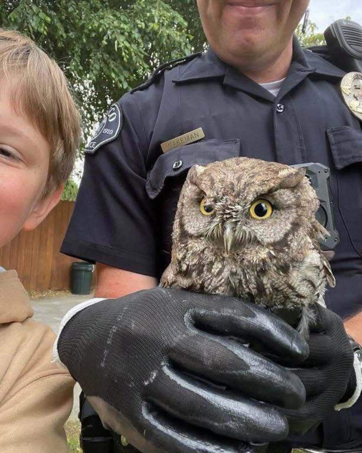 Pasco Officer Jeremy Wakeman talked with Blue Mountain Wildlife to safely rescue a trapped owl. He had help from a young neighbor.