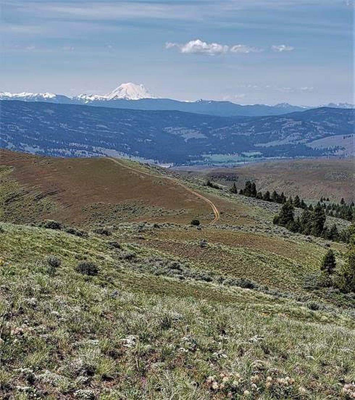 Spectacular views of the Cascades from Umtanum Ridge.