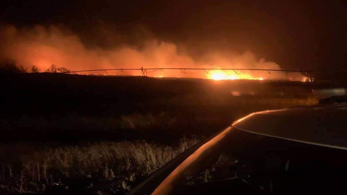 A downed power line is suspected of starting a fire that scorched 30 acres of pasture and wild land near the intersection of Old Inland Empire Highway and Case Road.