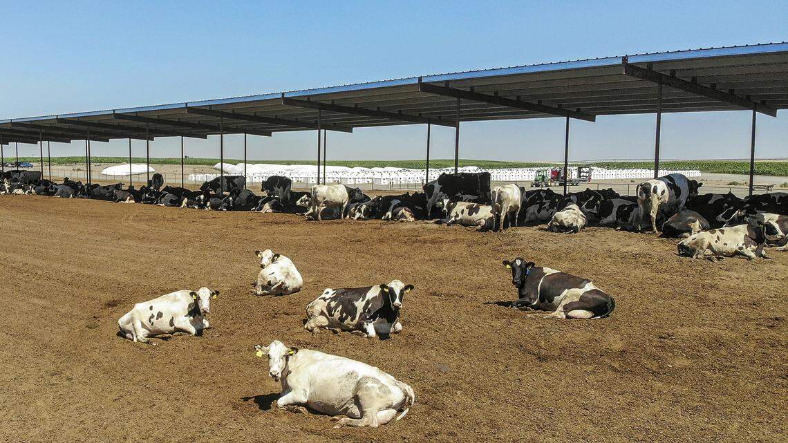 Washington farmers got $50.7 million in trade war payments. They lost a lot more