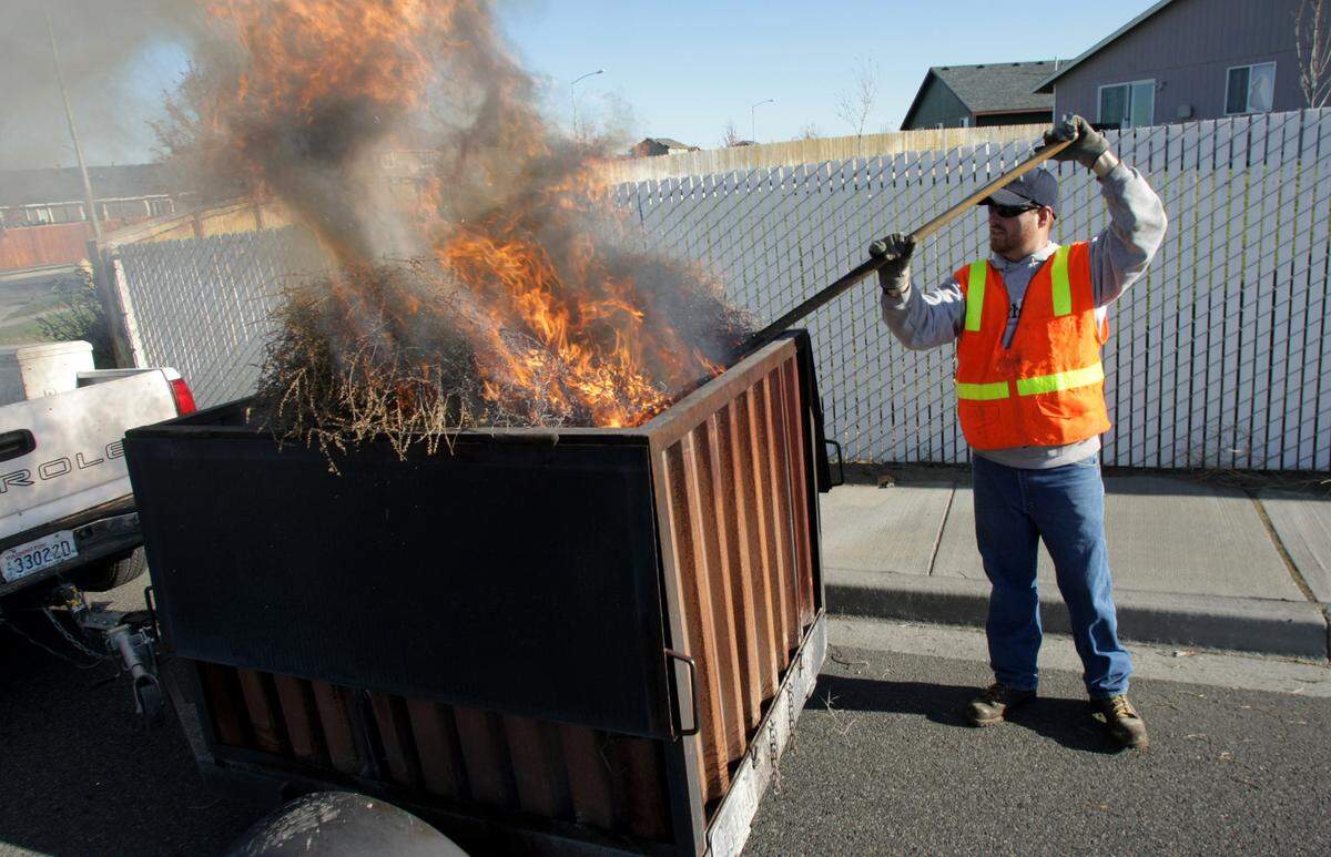 A Pasco Street Department worker disposes wind-blown tumbleweeds using a trailer-mounted metal burn box and pitchforks to safely dispose of the tumbleweeds blocking the road and sidewalk. A water truck also is part of the two-vehicle caravan.