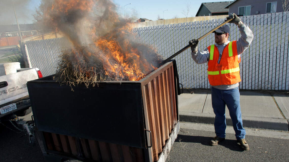 Tri-Cities leaders push for changes to tumbleweed disposal rules. Here’s why