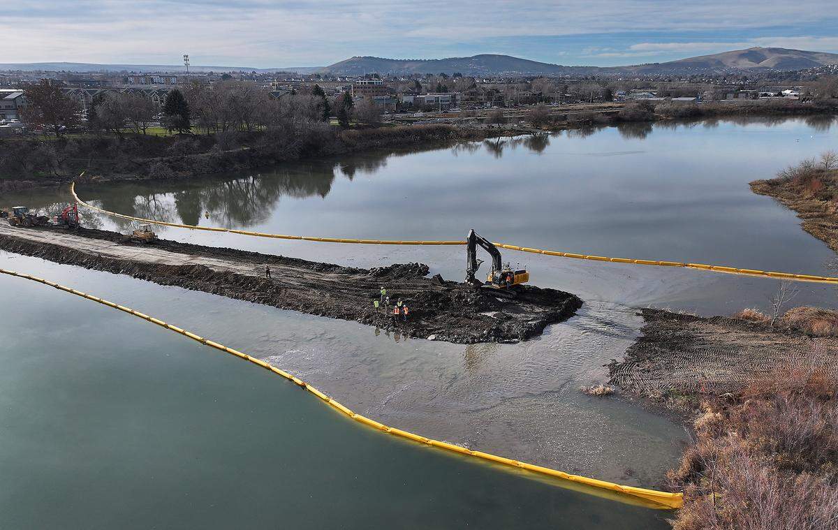 A steady flow of muddy Yakima River water moves past the end of the breached causeway to Bateman Island in Richland after an excavator removed about 20 feet of the man-made earthen structure that's been in place nearly 85 years. 