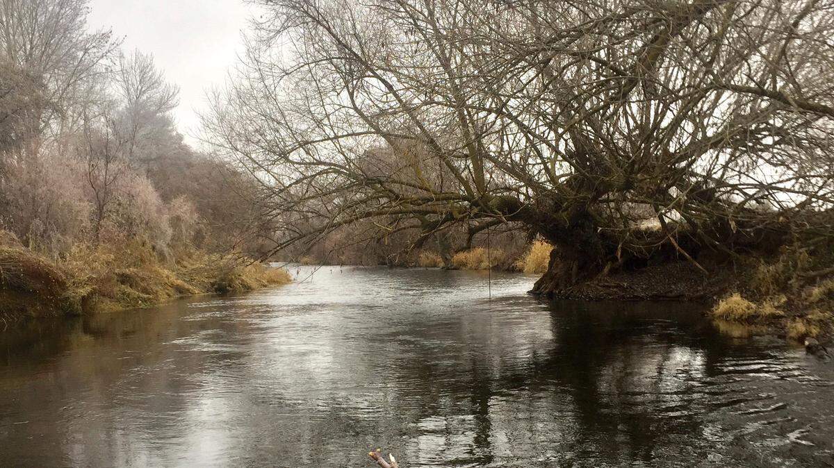 Important features that characterize steelhead holding water include overhanging shade, depth and moderate current.