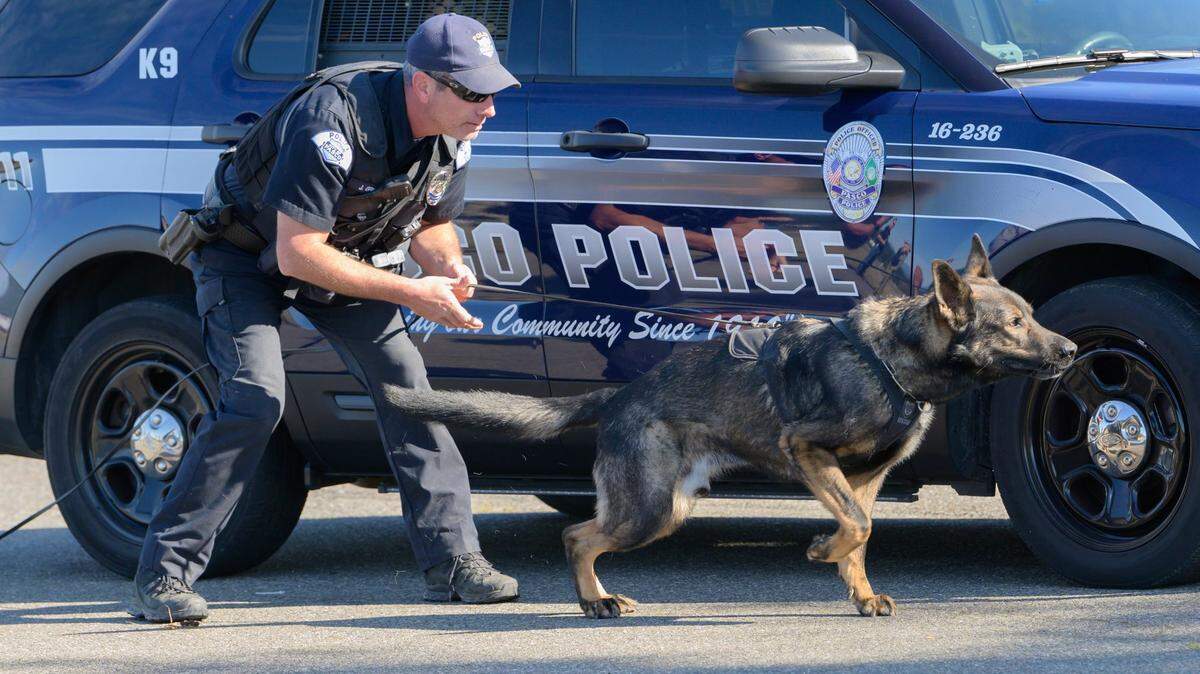 K9 Hapo, seen here with Officer Jason Griffin, has died.