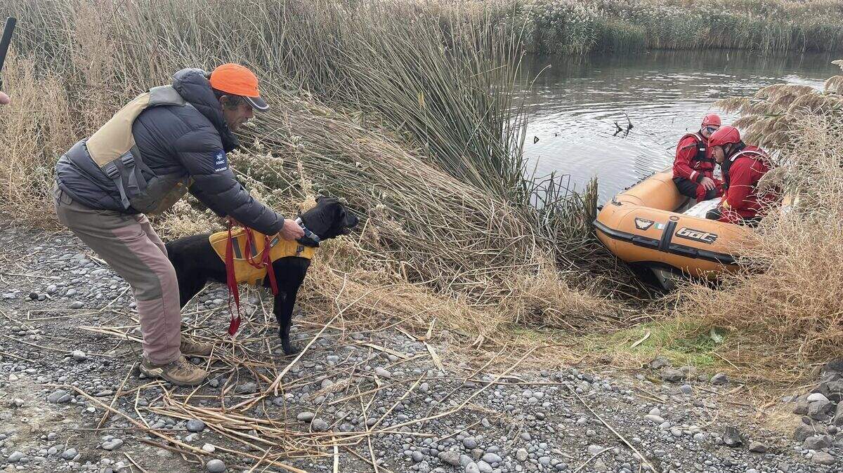 A Kittitas County search dog and handler prepare to board a search boat with divers attempting to recover the bodies of an Othello man and his sons who went missing during a canoe trip north of the Tri-Cities.